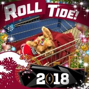 Meet your Posher, Cathy